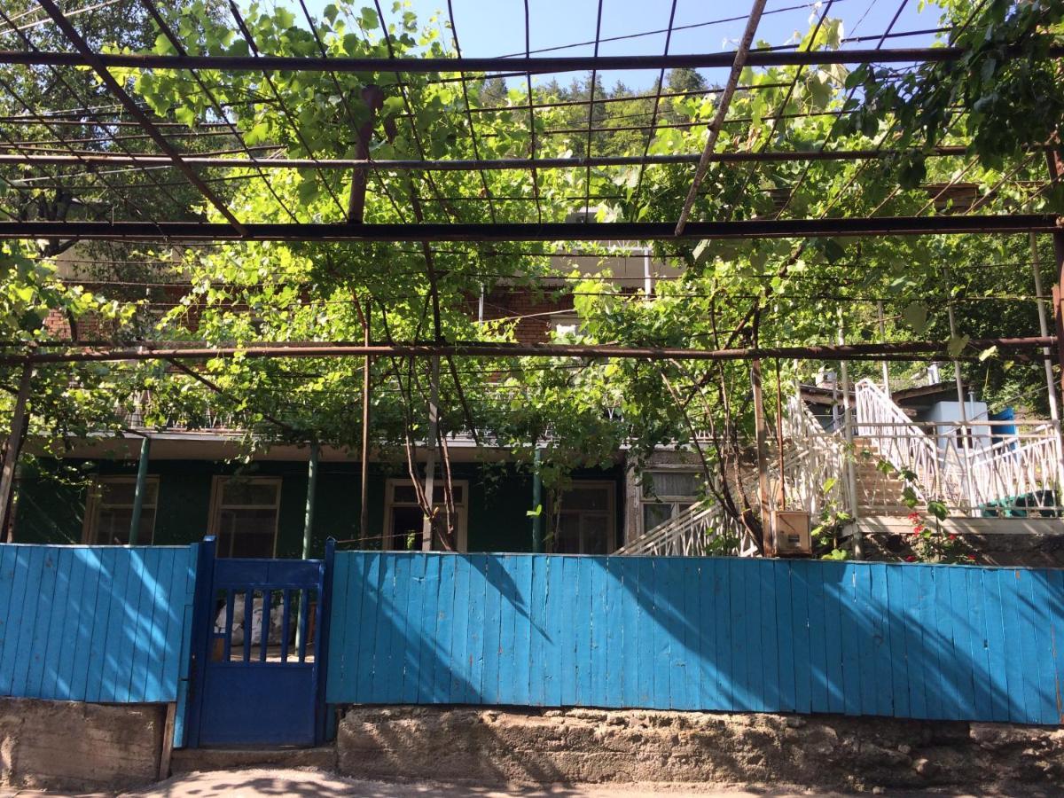 Guesthouse Malkhazi Bordžomi Exteriér fotografie
